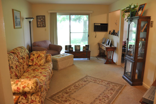 1 Bedroom Living Room