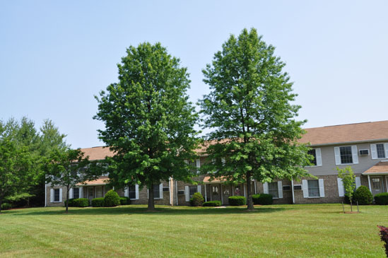 Immaculate Grounds